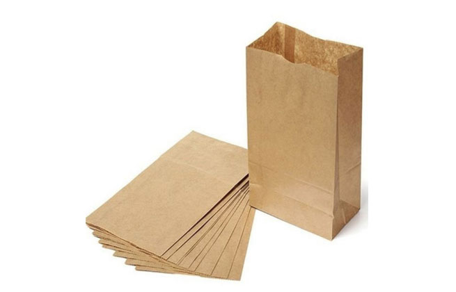 SACO PAPEL P/ DELIVERY 5KG (18X29,5X10) 100und
