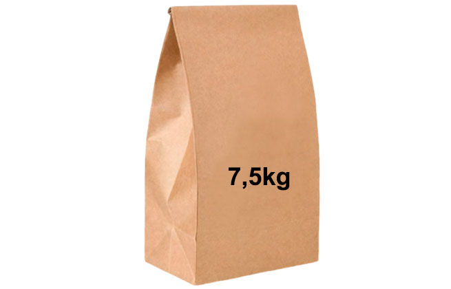 SACO PAPEL LISO P/ DELIVERY 7,5KG (18X37X10) 100und