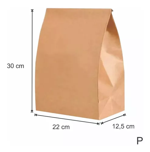 SACO PAPEL LISO 10KG P/ DELIVERY (20X37X10,5) 100und